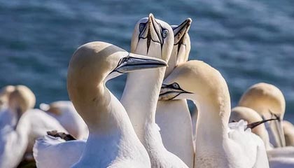 kaiyun-星空体育入口：用星光点亮你的运动新旅程