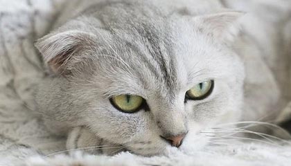 kaiyun-星空体育入口：用星光点亮你的运动新旅程