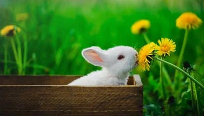 开云体育官网-半岛体育APP：让热爱变得触手可及